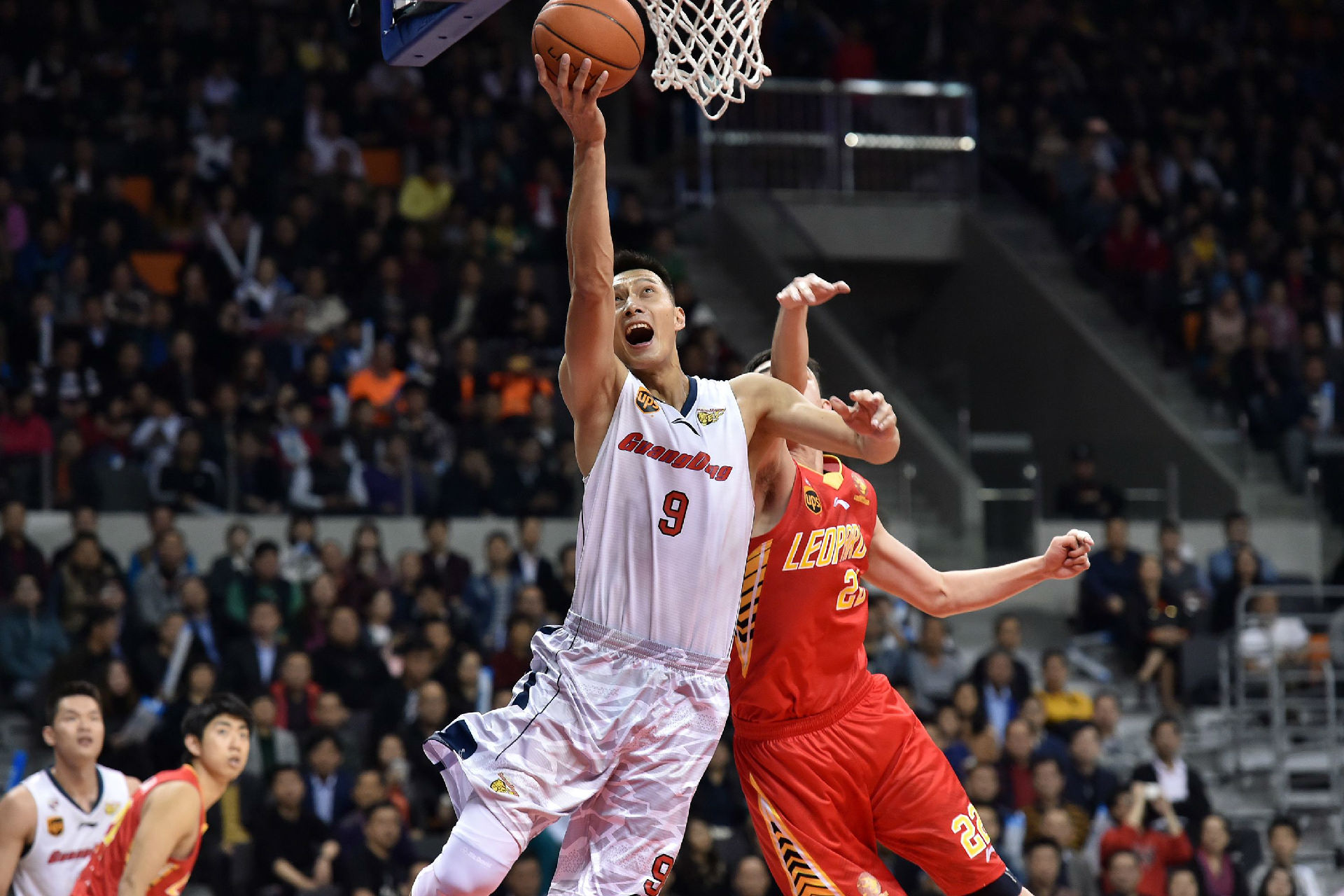 重要保障 重要保障