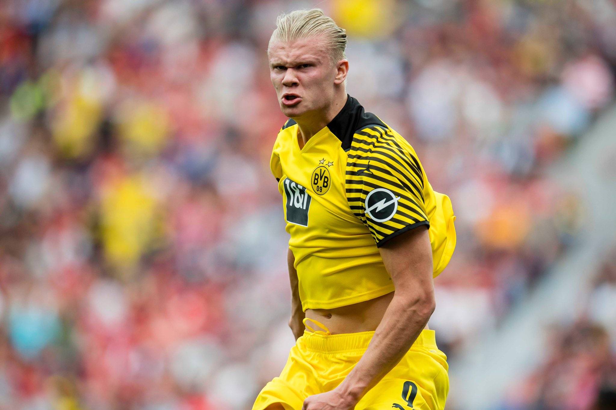 偶然的胜利 偶然的胜利